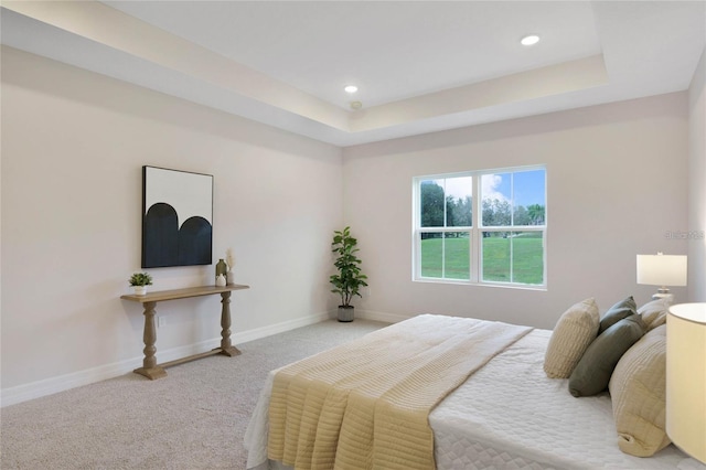 bedroom with carpet flooring and a tray ceiling