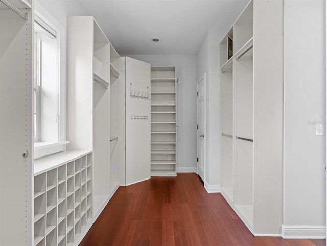 spacious closet with dark hardwood / wood-style floors