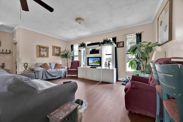 living room with crown molding, wood-type flooring, and a healthy amount of sunlight