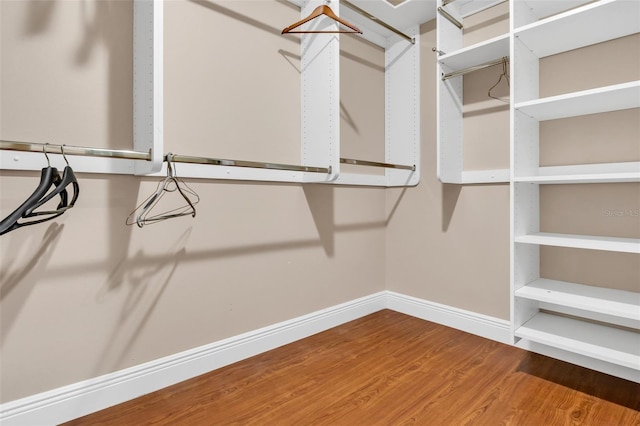 spacious closet featuring wood-type flooring