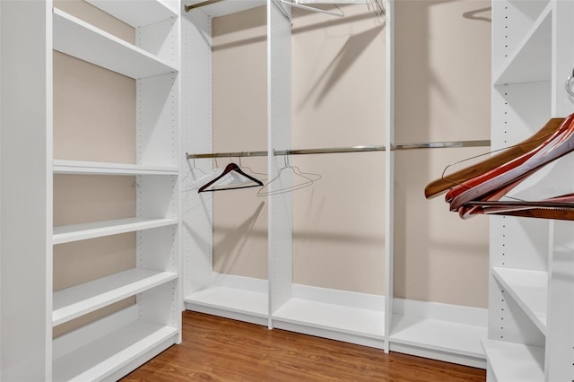 spacious closet with hardwood / wood-style floors