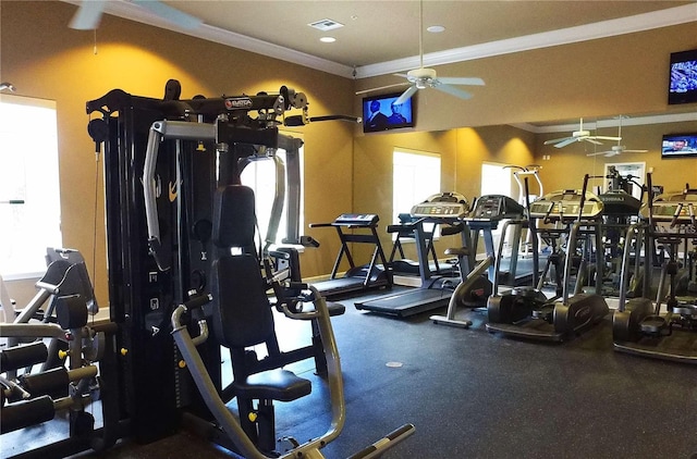 workout area with ornamental molding and ceiling fan