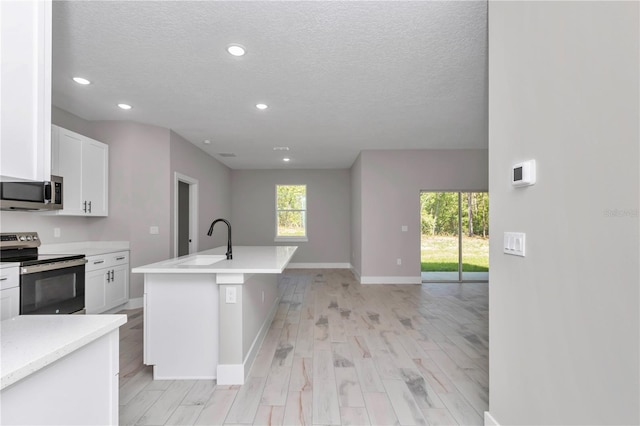 9095 SW 125th Ter, Dunnellon, FL 34432 - kitchen with stainless steel appliances, a sink, light wood-style floors, recessed lighting, and baseboards