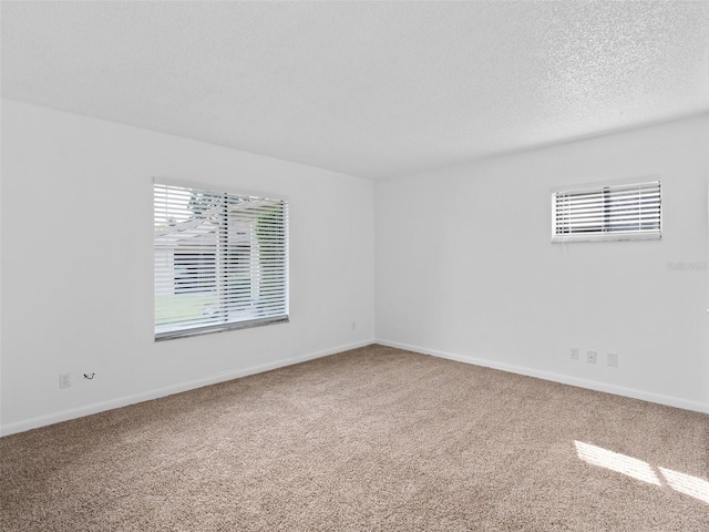 empty room featuring carpet floors and a textured ceiling