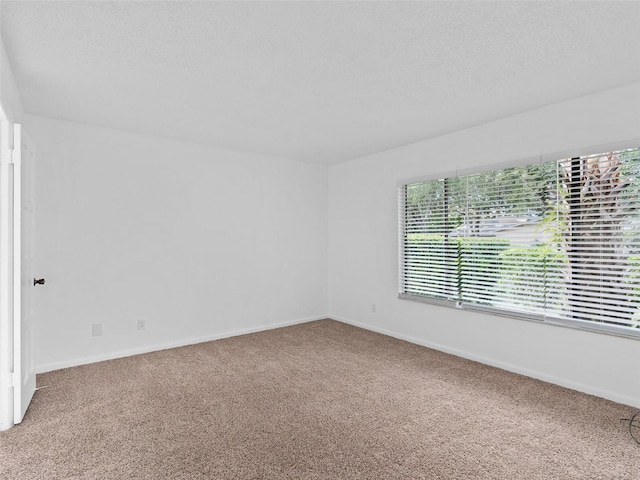 empty room with carpet and a textured ceiling