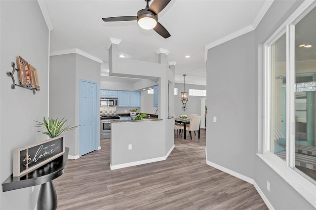 kitchen featuring blue cabinets, crown molding, light hardwood / wood-style flooring, and appliances with stainless steel finishes