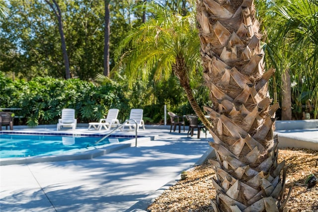 community pool featuring a patio area