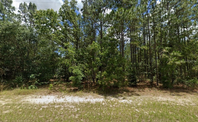 SW 132nd St, Ocala FL, 34473 land for sale