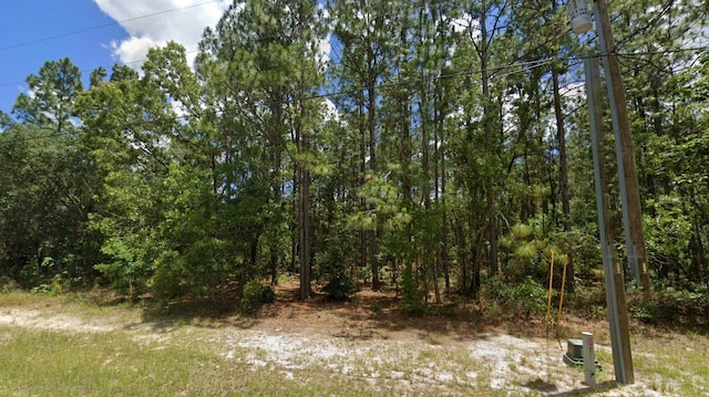 Listing photo 2 for SW 132nd St, Ocala FL 34473