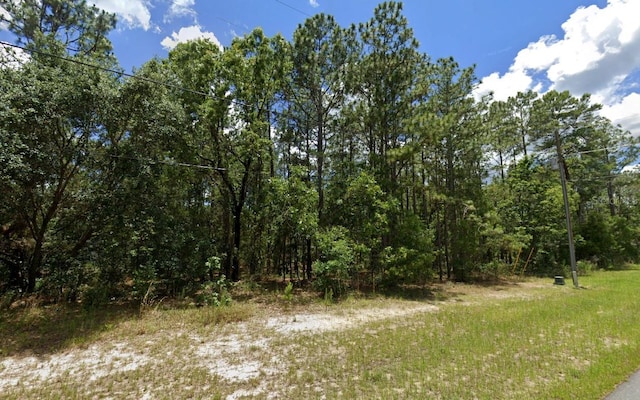 Listing photo 3 for SW 132nd St, Ocala FL 34473