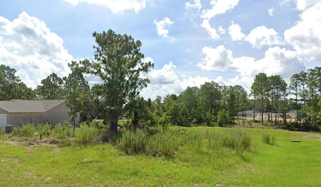 SW 50th Avenue Rd, Ocala FL, 34473 land for sale