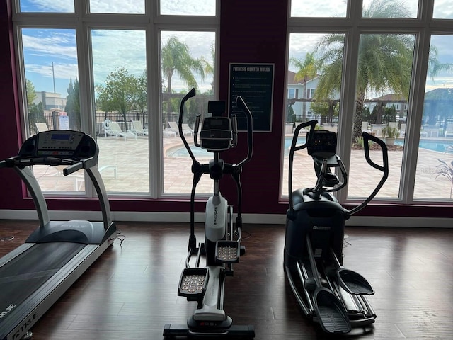 gym with dark hardwood / wood-style floors and a wealth of natural light