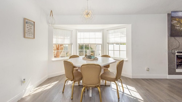 dining space featuring hardwood / wood-style floors