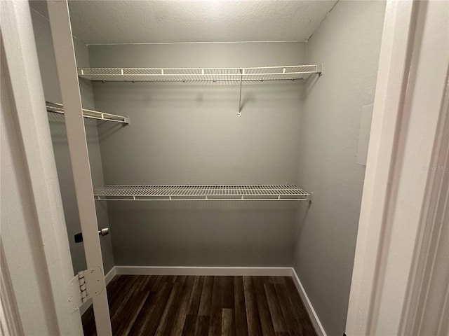 spacious closet with dark hardwood / wood-style flooring