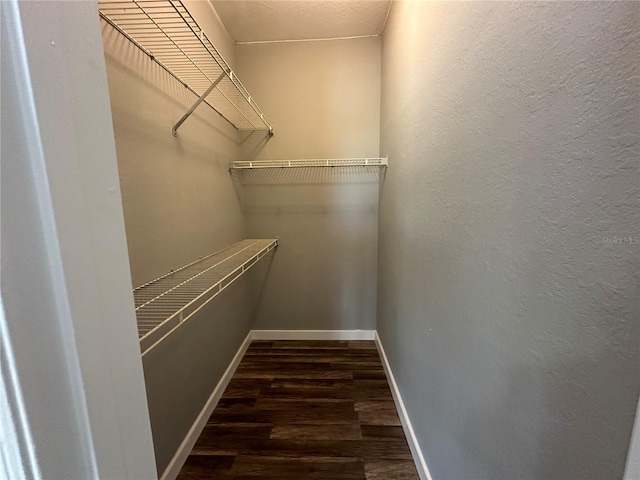 spacious closet featuring dark hardwood / wood-style flooring