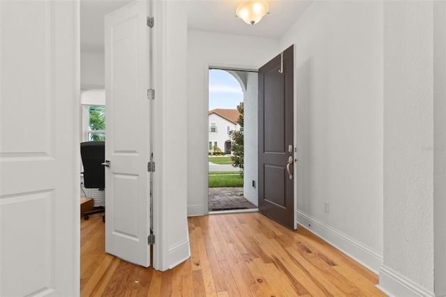 foyer featuring plenty of natural light and light wood-type flooring