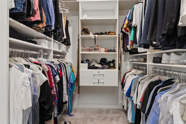 spacious closet featuring light colored carpet