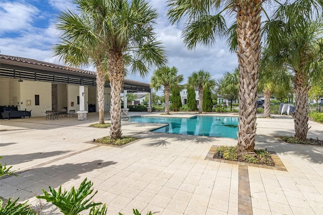 view of pool featuring a patio