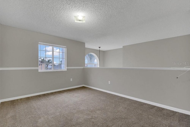 spare room featuring carpet flooring and a textured ceiling