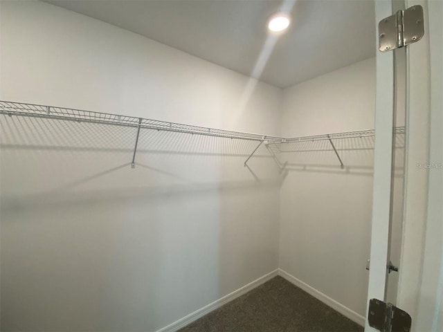 spacious closet with dark carpet