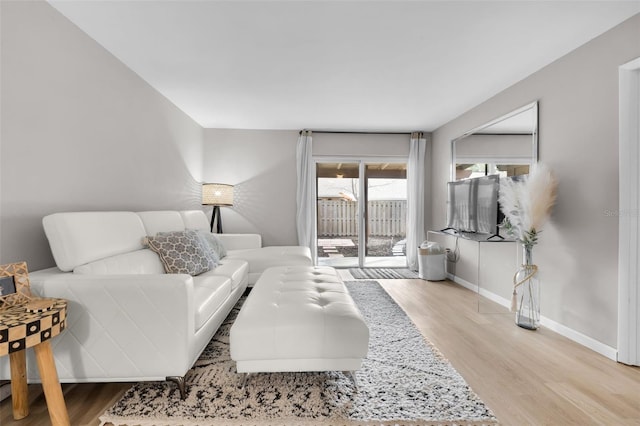 living room featuring light hardwood / wood-style floors