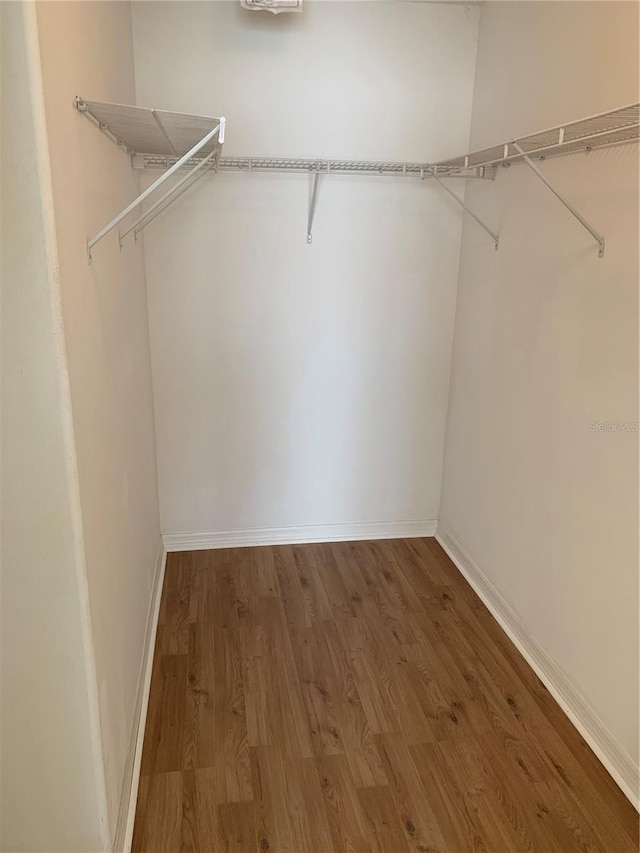 spacious closet with wood-type flooring