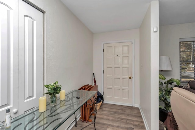 entryway featuring hardwood / wood-style floors