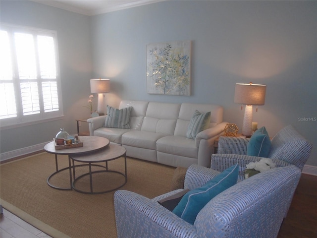 living room featuring hardwood / wood-style floors and crown molding