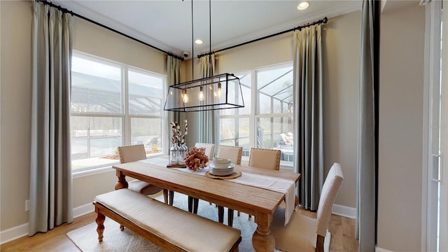 dining area featuring a healthy amount of sunlight and light hardwood / wood-style flooring