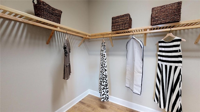 walk in closet with hardwood / wood-style flooring