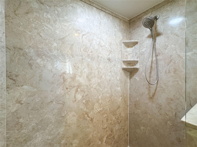 room details featuring tiled shower