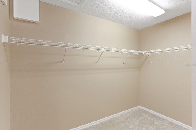 spacious closet with light colored carpet