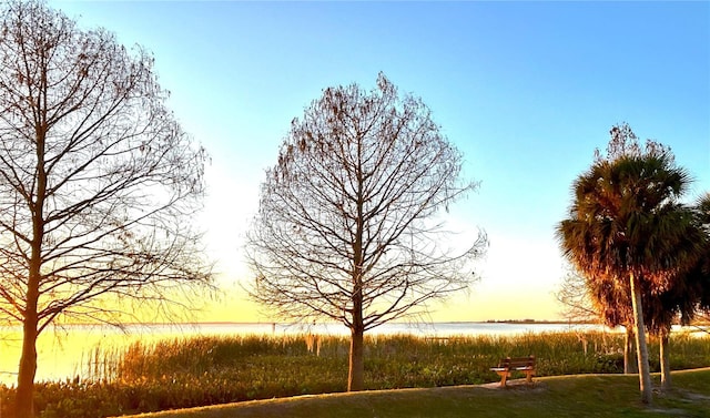 view of home's community with a lawn and a water view