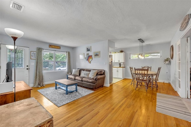 living room featuring light hardwood / wood-style floors and a textured ceiling