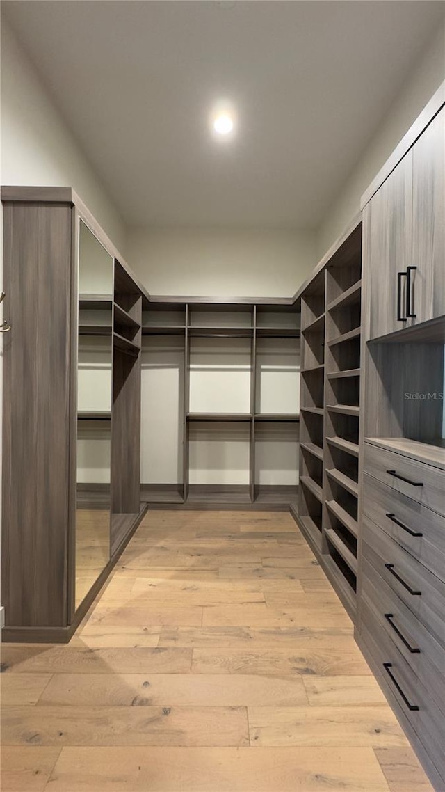 spacious closet featuring light wood-type flooring