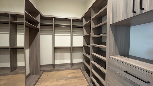 spacious closet featuring light wood-style floors