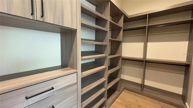 spacious closet featuring light wood-type flooring