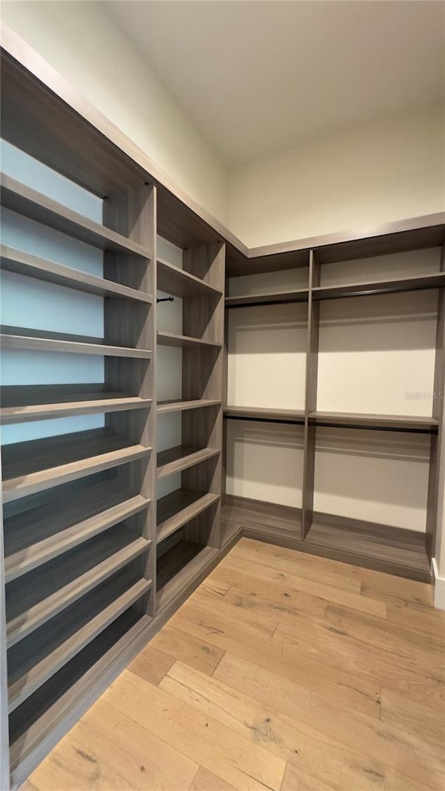 spacious closet with light wood-type flooring