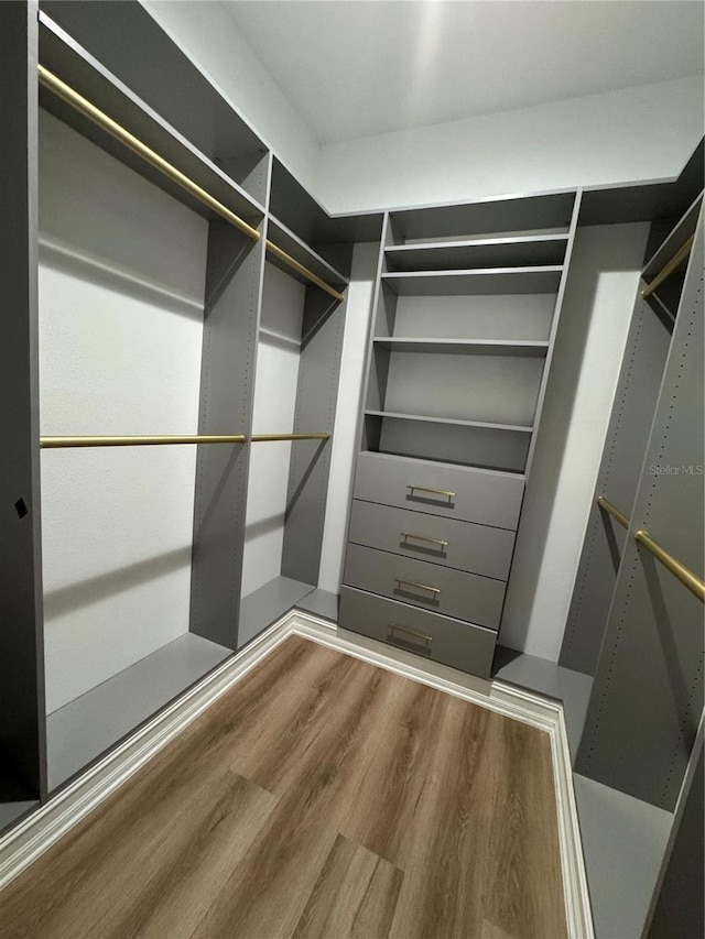 spacious closet featuring hardwood / wood-style flooring