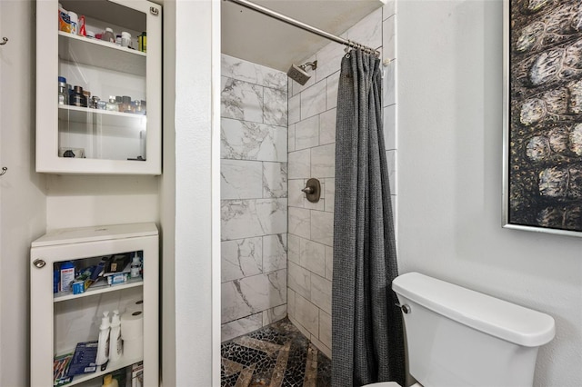 bathroom with toilet and a shower with shower curtain