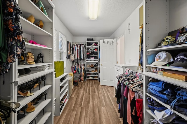 walk in closet featuring light wood-type flooring