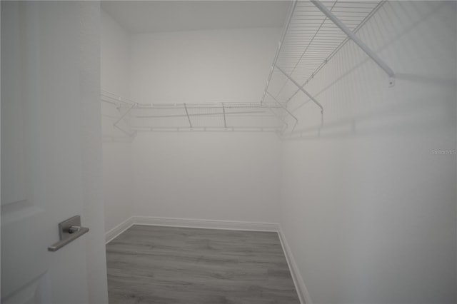 walk in closet with wood finished floors