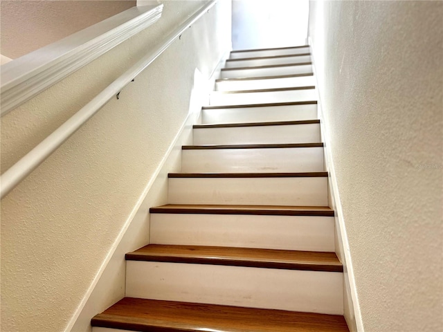 stairway with hardwood / wood-style floors