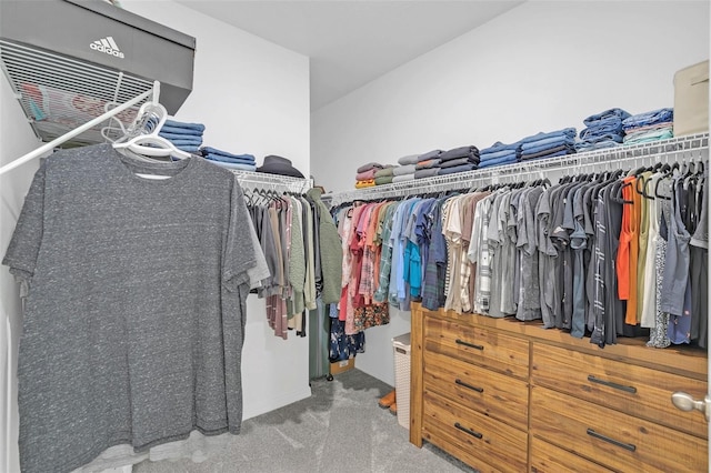 spacious closet with carpet