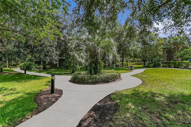 view of community featuring a yard