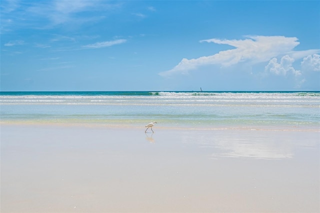 view of water feature with a beach view