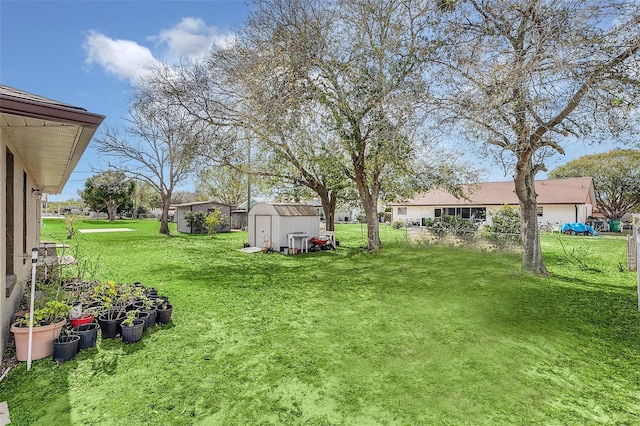 view of yard featuring a shed