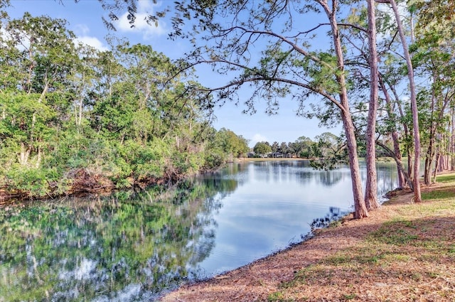 property view of water