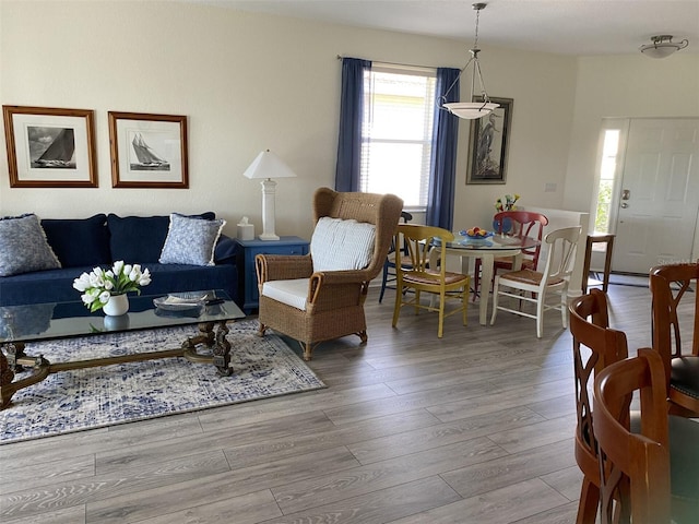 living room with a baseboard radiator and light wood-type flooring