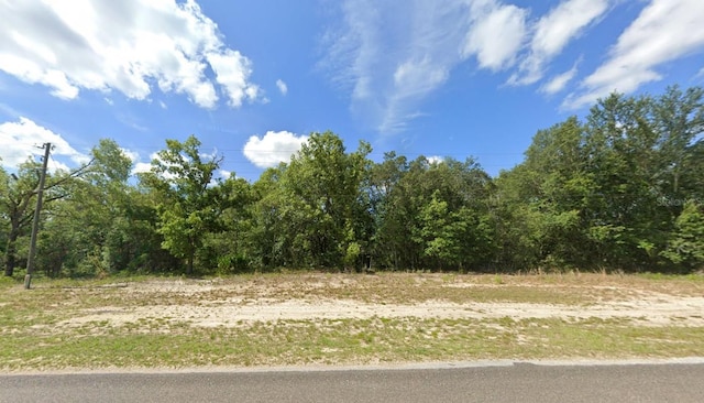 15363 SE 113th Street Rd, Ocklawaha FL, 32179 land for sale